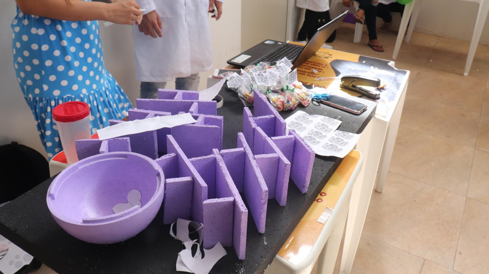 Alunos de Odontologia e Farmácia promovem exposição na Edufor