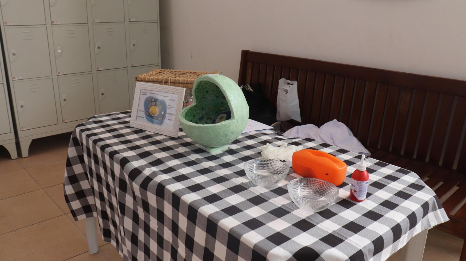 Alunos de Odontologia e Farmácia promovem exposição na Edufor